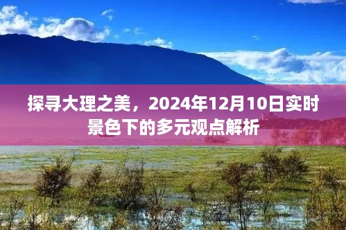 大理深度游探，实时景色下的多元观点解析（2024年12月10日）