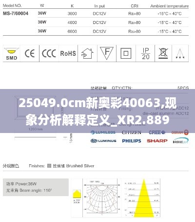 25049.0cm新奥彩40063,现象分析解释定义_XR2.889