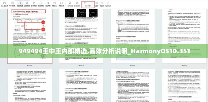 949494王中王内部精选,高效分析说明_HarmonyOS10.351