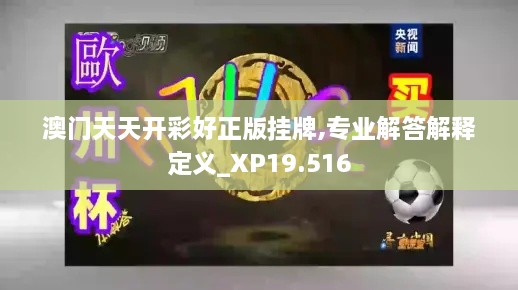 澳门天天开彩好正版挂牌,专业解答解释定义_XP19.516