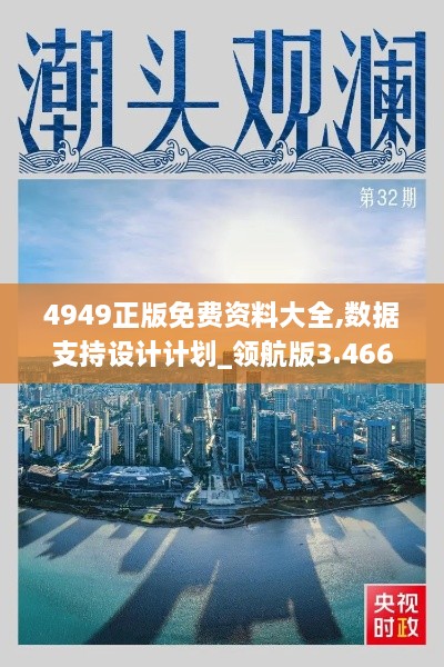 4949正版免费资料大全,数据支持设计计划_领航版3.466