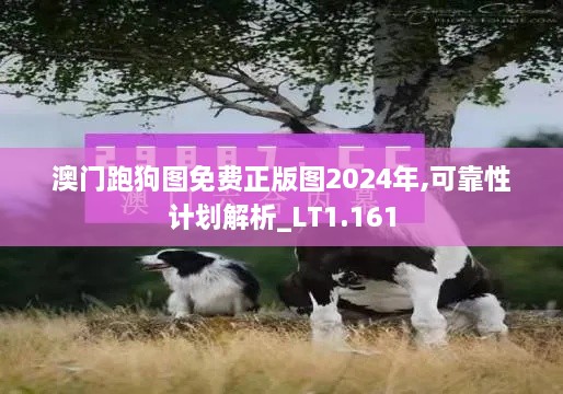 澳门跑狗图免费正版图2024年,可靠性计划解析_LT1.161