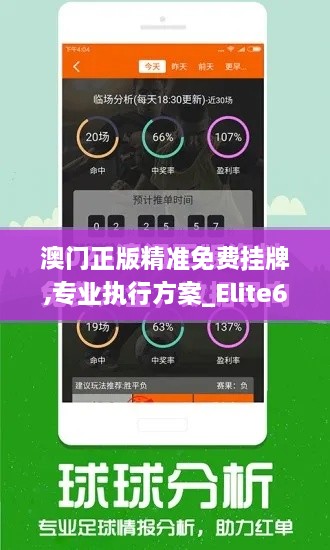 澳门正版精准免费挂牌,专业执行方案_Elite6.488