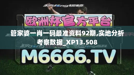 管家婆一肖一码最准资料92期,实地分析考察数据_XP13.508