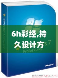 6h彩经,持久设计方案策略_Windows15.965