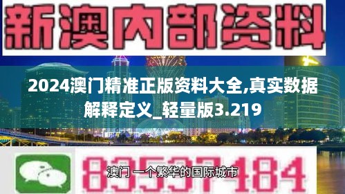 2024澳门精准正版资料大全,真实数据解释定义_轻量版3.219