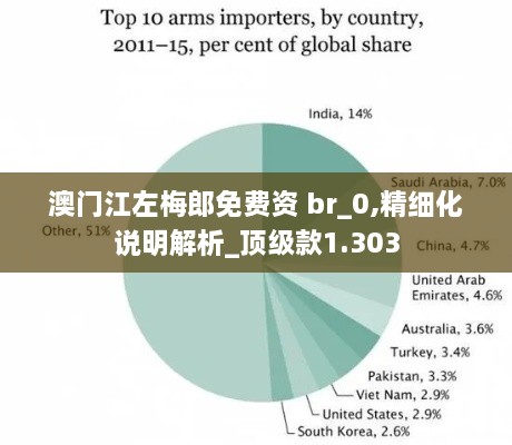 澳门江左梅郎免费资 br_0,精细化说明解析_顶级款1.303