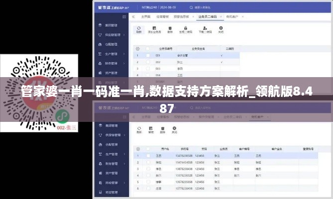 管家婆一肖一码准一肖,数据支持方案解析_领航版8.487