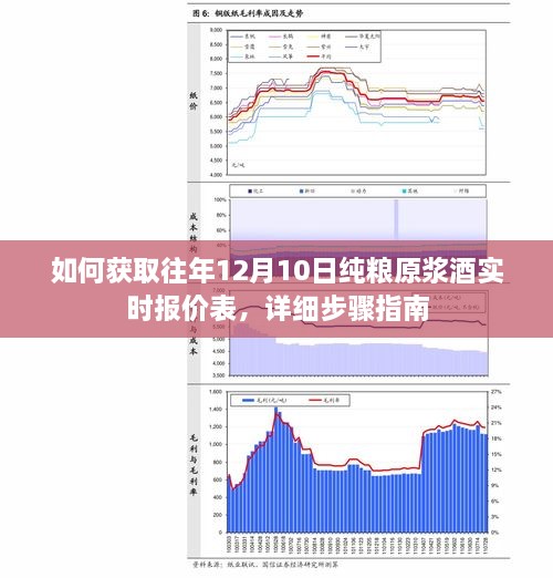 获取往年12月10日纯粮原浆酒实时报价表，详细步骤与指南