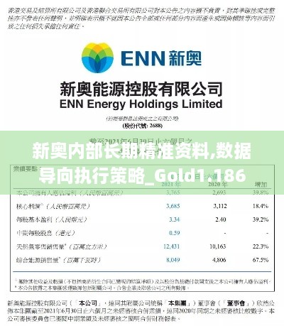 新奥内部长期精准资料,数据导向执行策略_Gold1.186