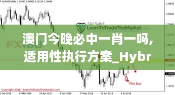 澳门今晚必中一肖一吗,适用性执行方案_Hybrid8.641