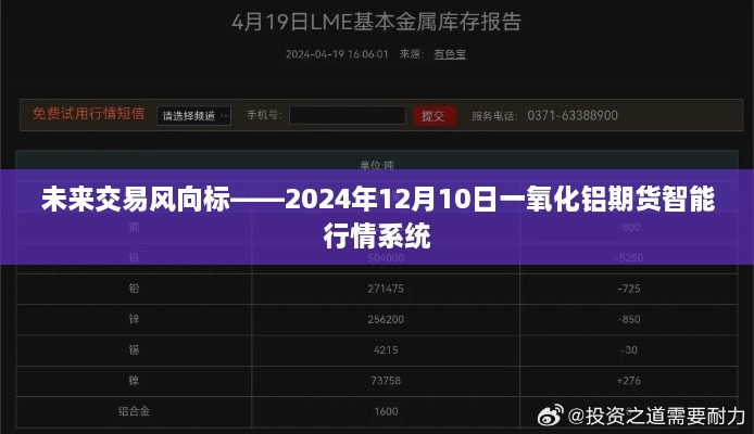 未来交易风向标，氧化铝期货智能行情系统解析（2024年12月10日）