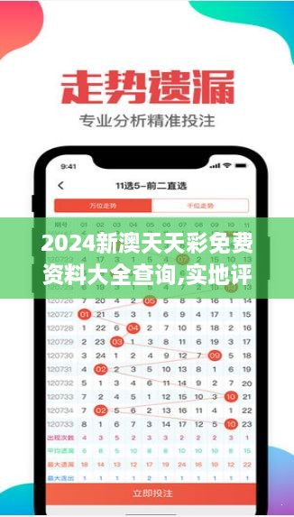 2024新澳天天彩免费资料大全查询,实地评估解析数据_扩展版10.537