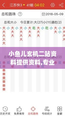 小鱼儿玄机二站资料提供资料,专业调查解析说明_2DM4.227