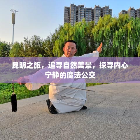 昆明之旅，追寻自然美景与内心宁静的魔法公交之旅