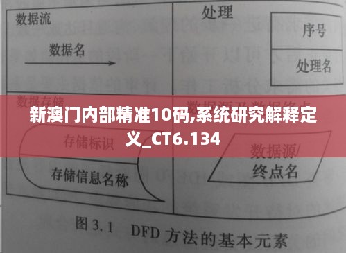 新澳门内部精准10码,系统研究解释定义_CT6.134