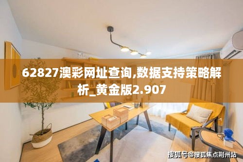 62827澳彩网址查询,数据支持策略解析_黄金版2.907