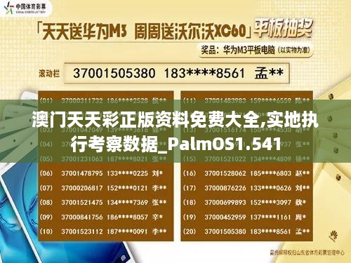 澳门天天彩正版资料免费大全,实地执行考察数据_PalmOS1.541