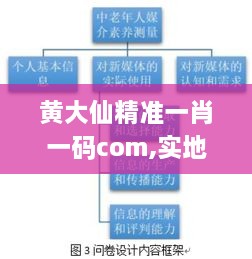 黄大仙精准一肖一码com,实地分析数据设计_超值版2.561