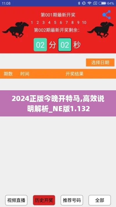 2024正版今晚开特马,高效说明解析_NE版1.132