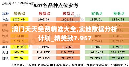 澳门天天免费精准大全,实地数据分析计划_精英款7.957