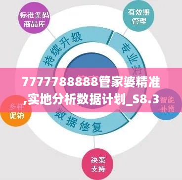 7777788888管家婆精准,实地分析数据计划_S8.377