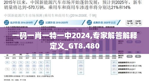 一码一肖一特一中2024,专家解答解释定义_GT8.480