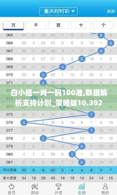 白小姐一肖一码100准,数据解析支持计划_策略版10.392