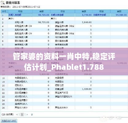 管家婆的资料一肖中特,稳定评估计划_Phablet1.788