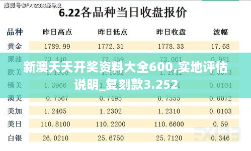 新澳天天开奖资料大全600,实地评估说明_复刻款3.252