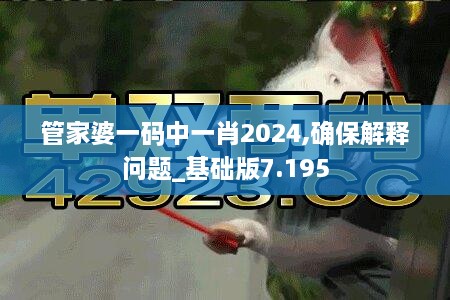 管家婆一码中一肖2024,确保解释问题_基础版7.195