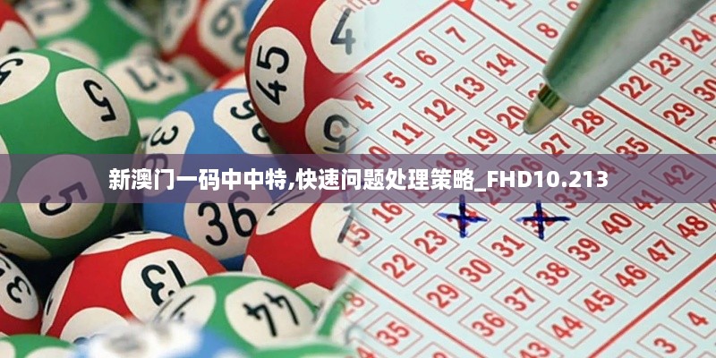 新澳门一码中中特,快速问题处理策略_FHD10.213