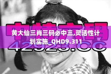 黄大仙三肖三码必中三,灵活性计划实施_QHD9.311