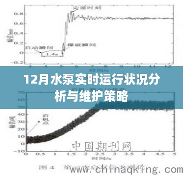 12月水泵运行状况深度分析与维护策略探讨