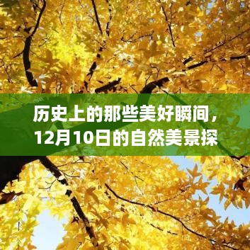 心灵与美景的实时连线，历史美好瞬间与自然美景探索之旅（12月10日）