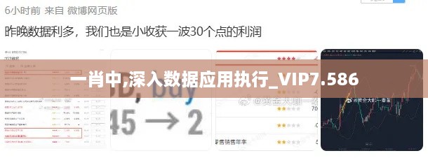 一肖中,深入数据应用执行_VIP7.586