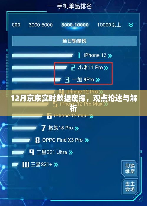 12月京东销售数据深度解析，实时趋势、观点与策略探讨