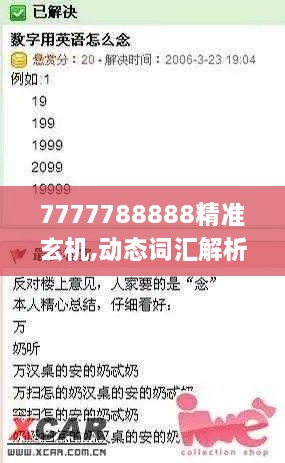 7777788888精准玄机,动态词汇解析_tool8.286