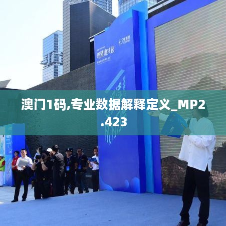 澳门1码,专业数据解释定义_MP2.423