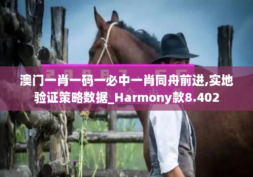 澳门一肖一码一必中一肖同舟前进,实地验证策略数据_Harmony款8.402