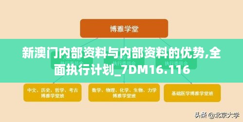 新澳门内部资料与内部资料的优势,全面执行计划_7DM16.116