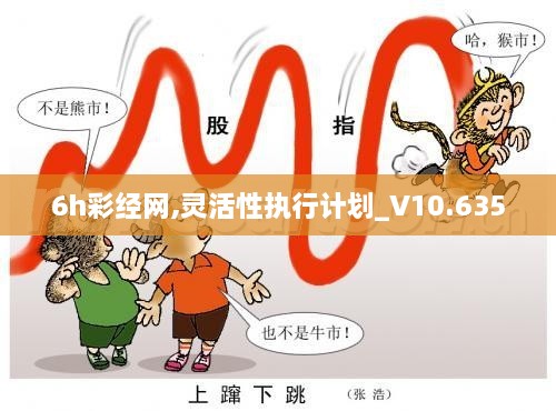 6h彩经网,灵活性执行计划_V10.635