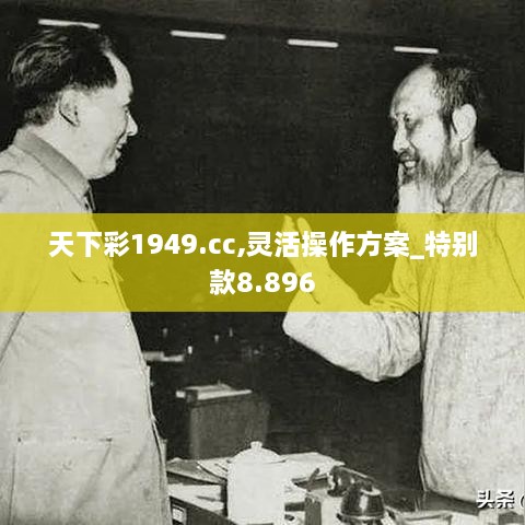 天下彩1949.cc,灵活操作方案_特别款8.896