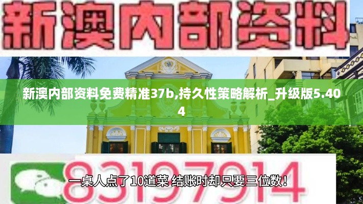 新澳内部资料免费精准37b,持久性策略解析_升级版5.404