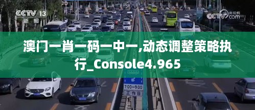 澳门一肖一码一中一,动态调整策略执行_Console4.965