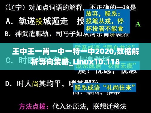 王中王一肖一中一特一中2020,数据解析导向策略_Linux10.118