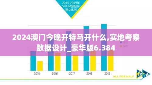 2024澳门今晚开特马开什么,实地考察数据设计_豪华版6.384