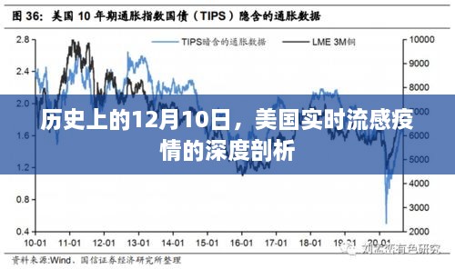 美国实时流感疫情深度剖析，历史视角下的12月10日观察