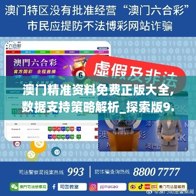 澳门精准资料免费正版大全,数据支持策略解析_探索版9.474