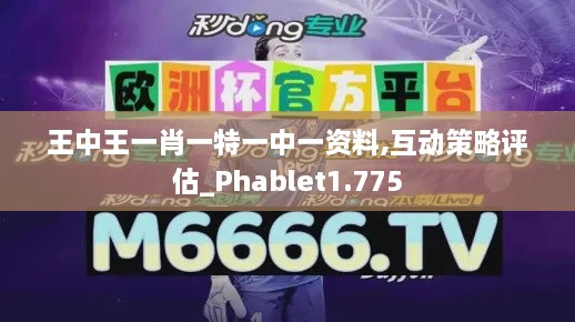 王中王一肖一特一中一资料,互动策略评估_Phablet1.775